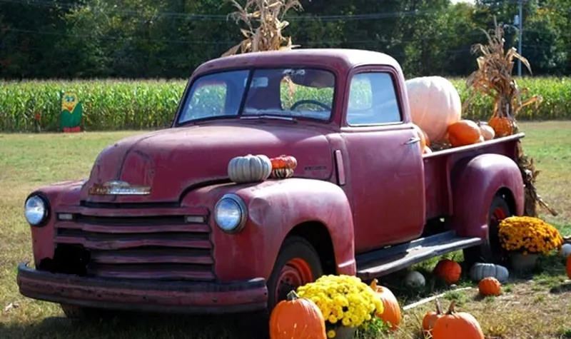 Conklin Farm U-Pick photo