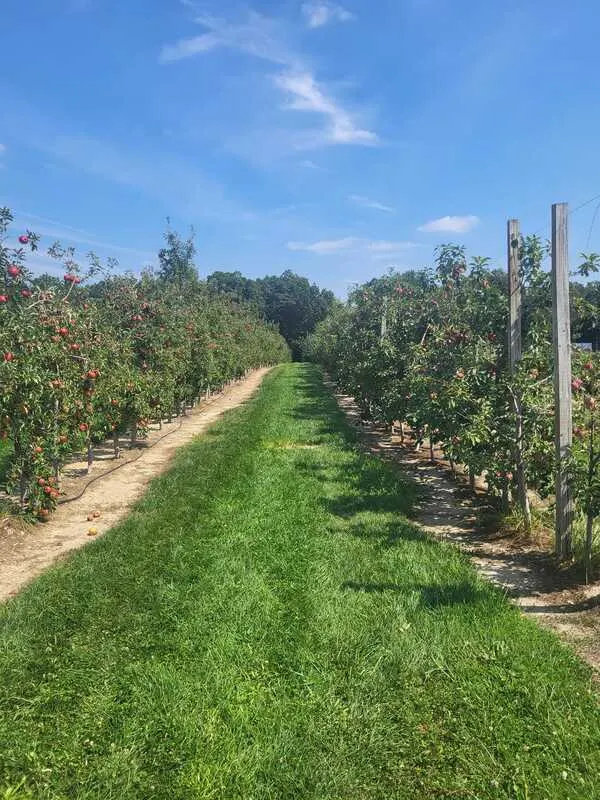Giamarese Farm