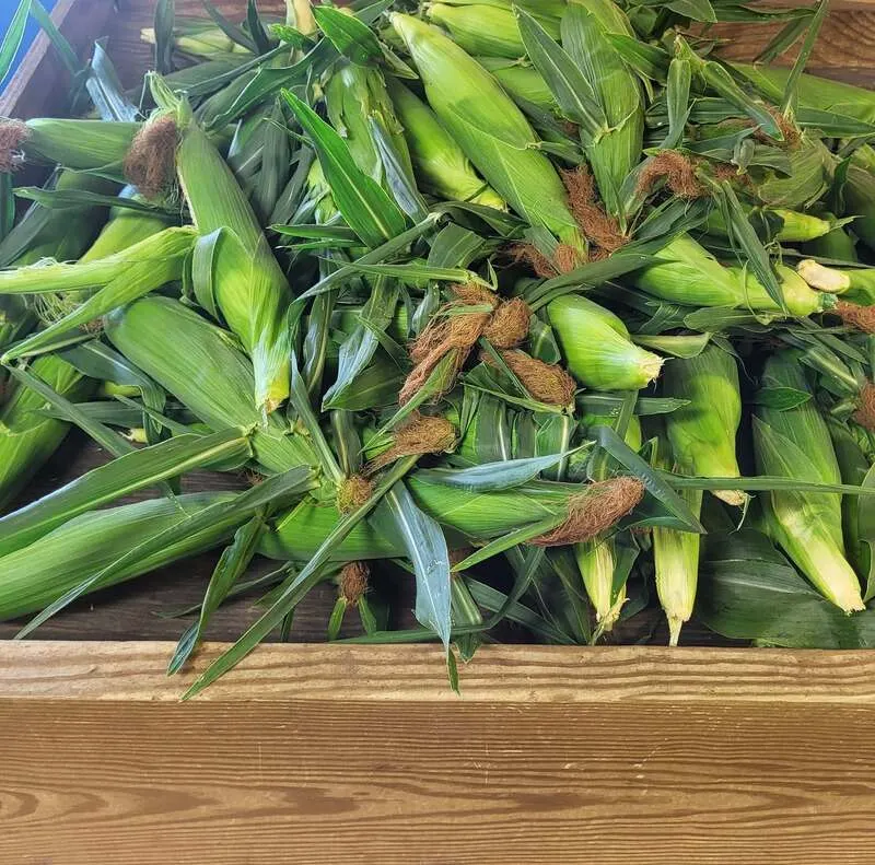 Giamarese Farm photo