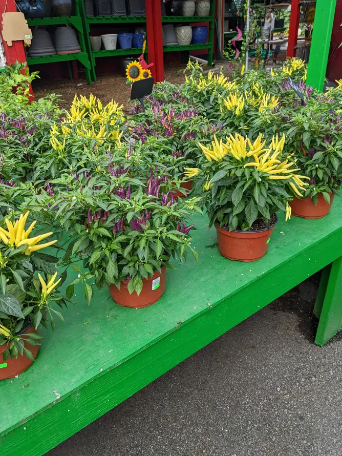 Goffle Brook Farm & Garden Center photo