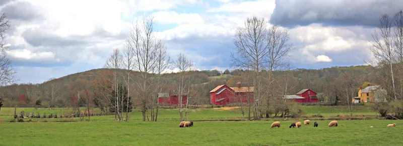 Howell Living History Farm