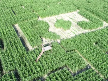 R and J Farm photo