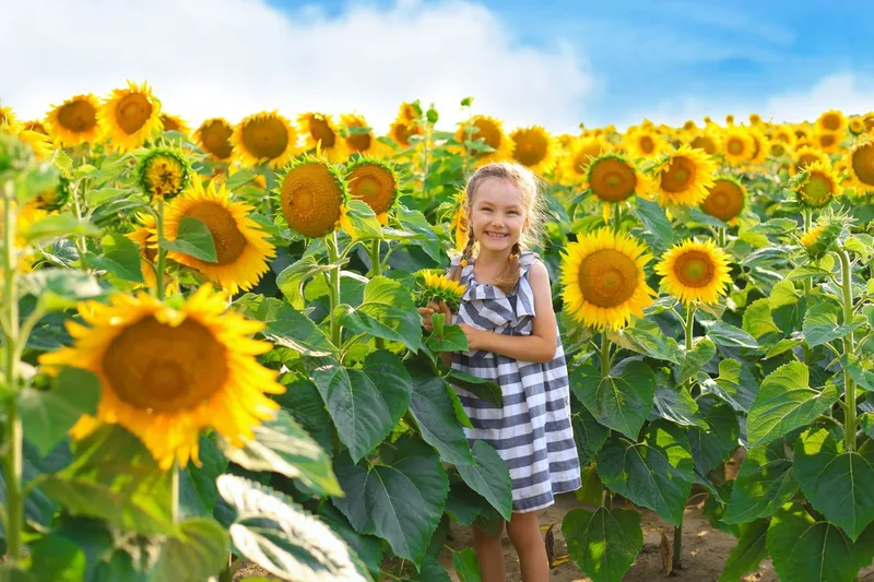 Riamede Farm photo