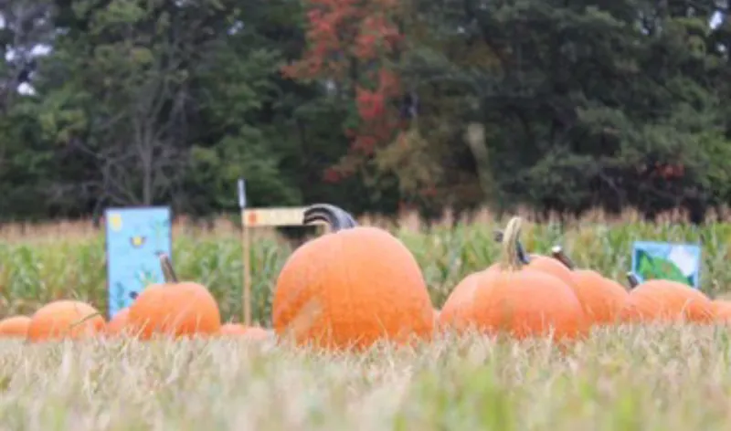 Secor Farms