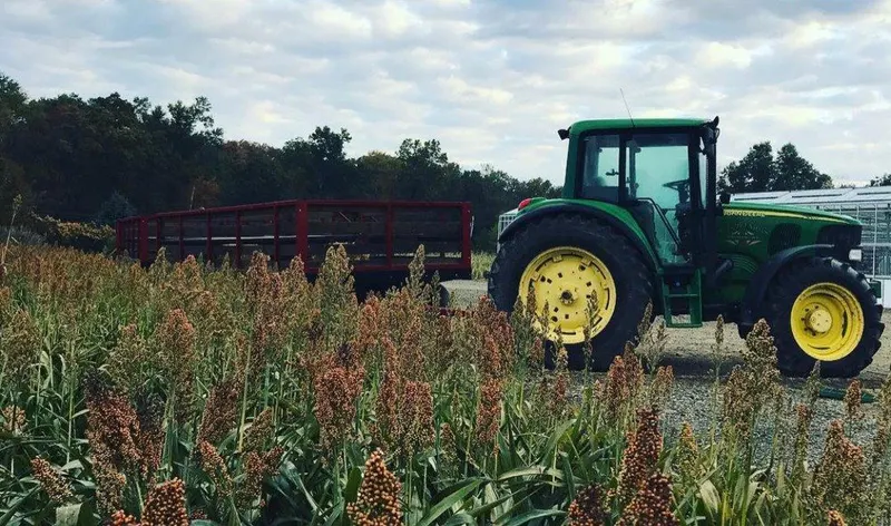 Secor Farms photo