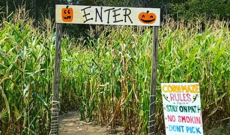 Secor Farms photo