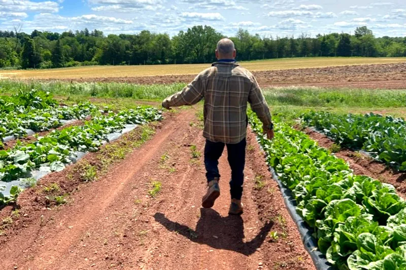 Snyder's Farm