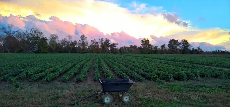 Specca Farms Pick Your Own