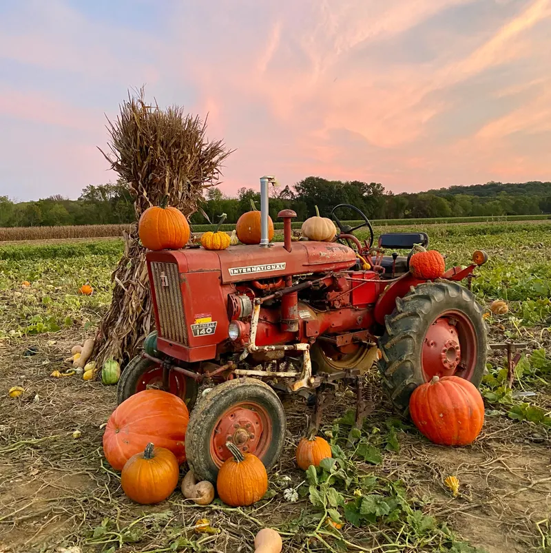 Stone Tavern Orchards