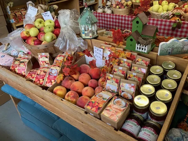 Stoneyfield Orchards photo