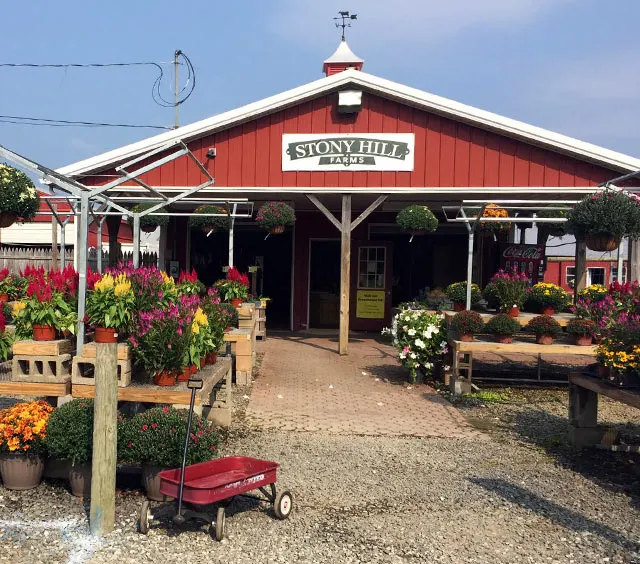 Stony Hill Farms