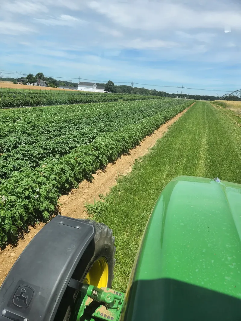 Stults Farm