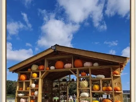 The Red Barn Farm photo