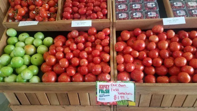 Tranquillity Farms