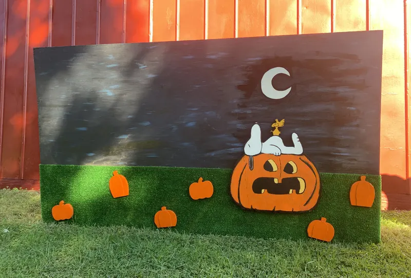 West Portal Pumpkin Patch photo