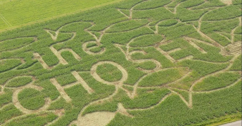 Abbott Farms