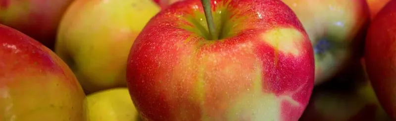 Altamont Orchards, Inc