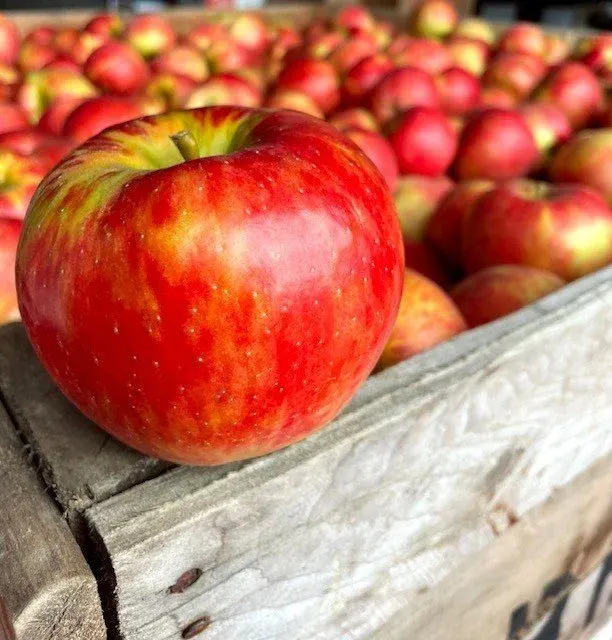 Behling Orchards