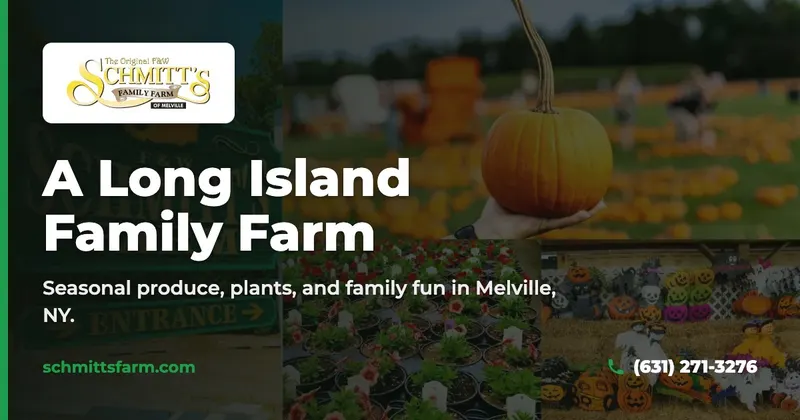 F&W Schmitt's Family Farm