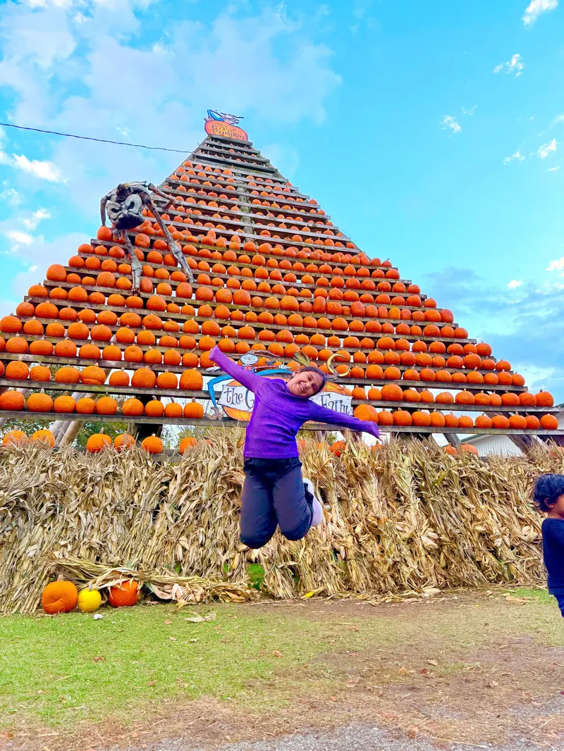 Great Pumpkin Farm photo