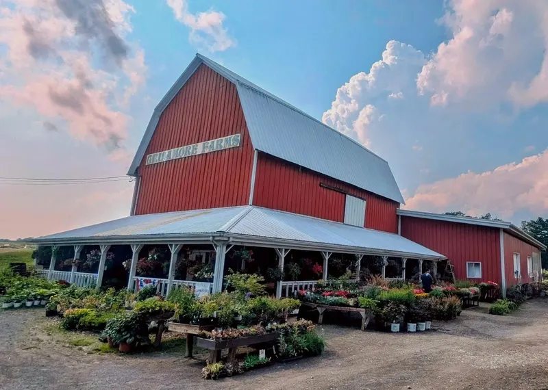 Grisamore Farms