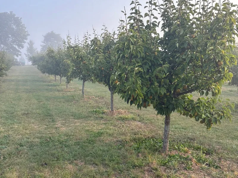 Halmony Farms