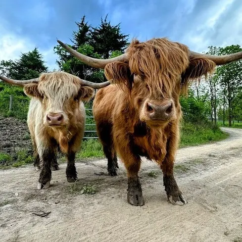 Kelder's Farm photo