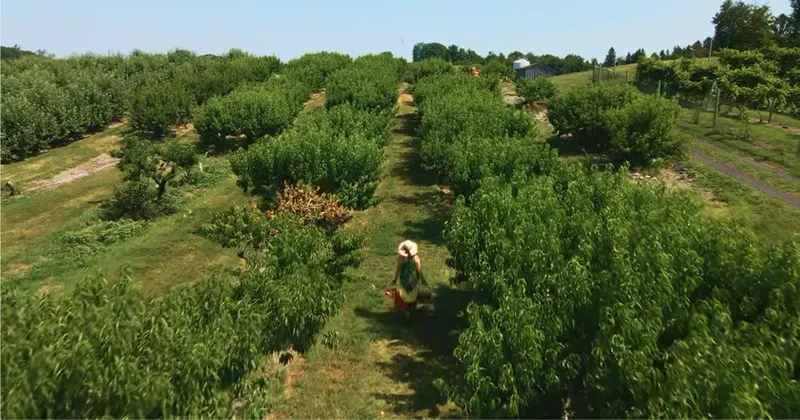 Lawrence Farms Orchards