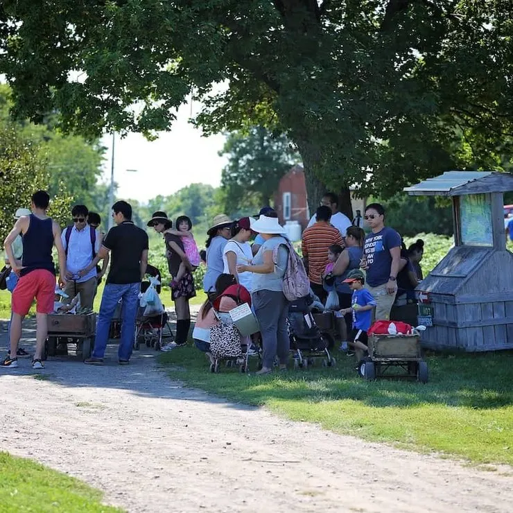 Lawrence Farms Orchards photo