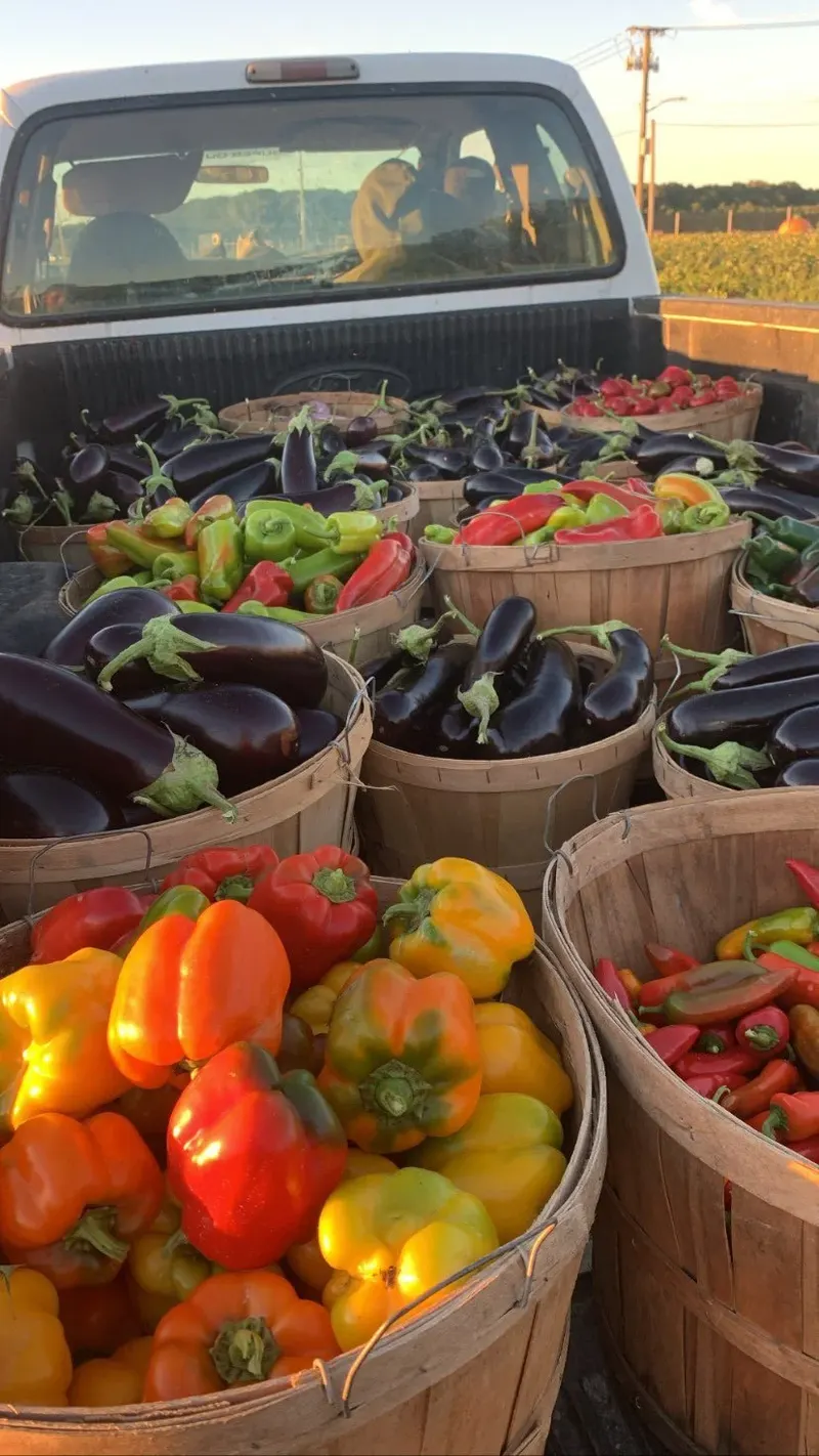 Lenny Bruno Farms