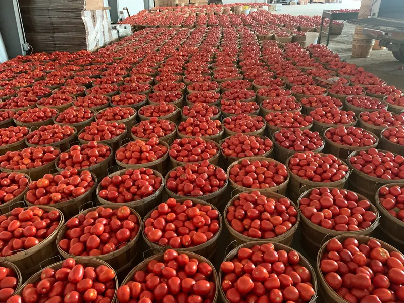 Lenny Bruno Farms photo