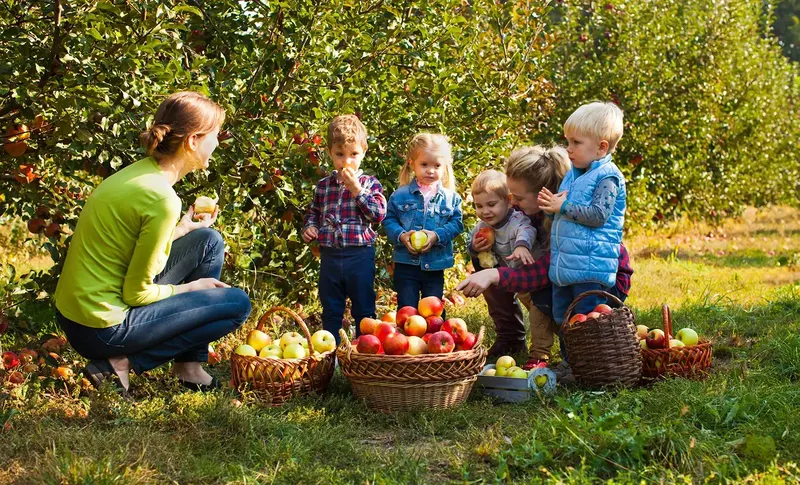 Masker Orchards
