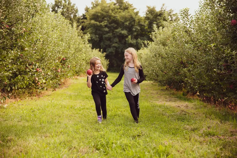 Prospect Hill Orchards-Hilltop Farm photo