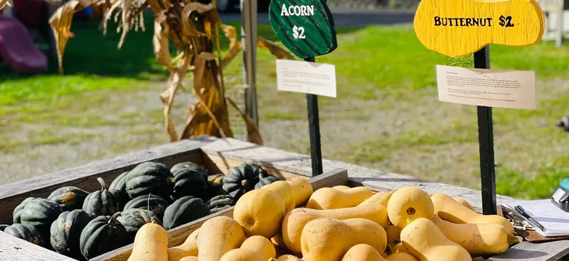 Red Wagon Farm photo