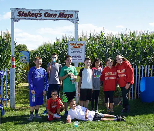 Stakey's Pumpkin Farm photo