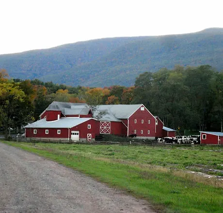 Story Farms