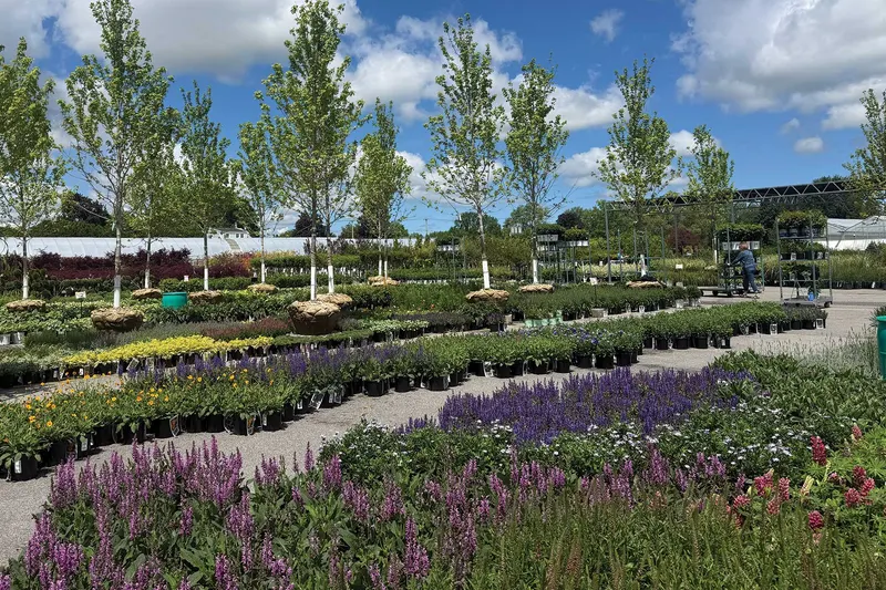 The Garden Factory