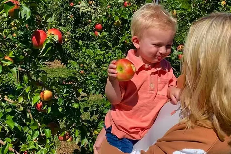 Weed Orchard Orchard and Winery