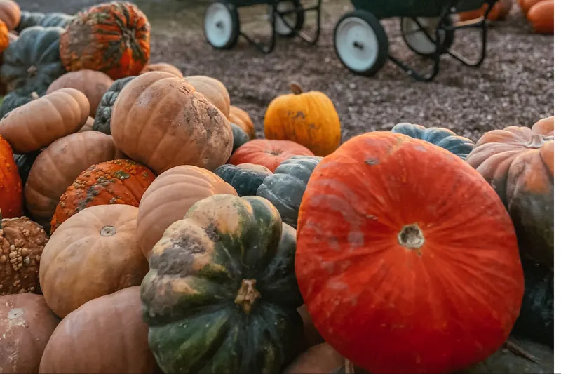 Wickham Farms