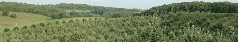 Arrowhead Orchard