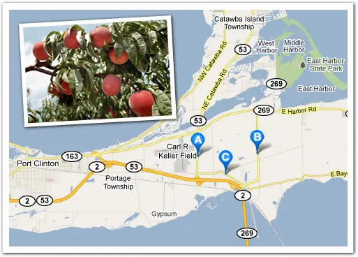 Bergman Orchards photo