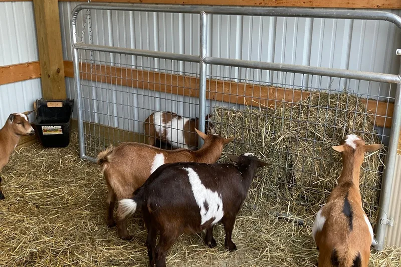 Boeshart Farms Countrie Acres photo