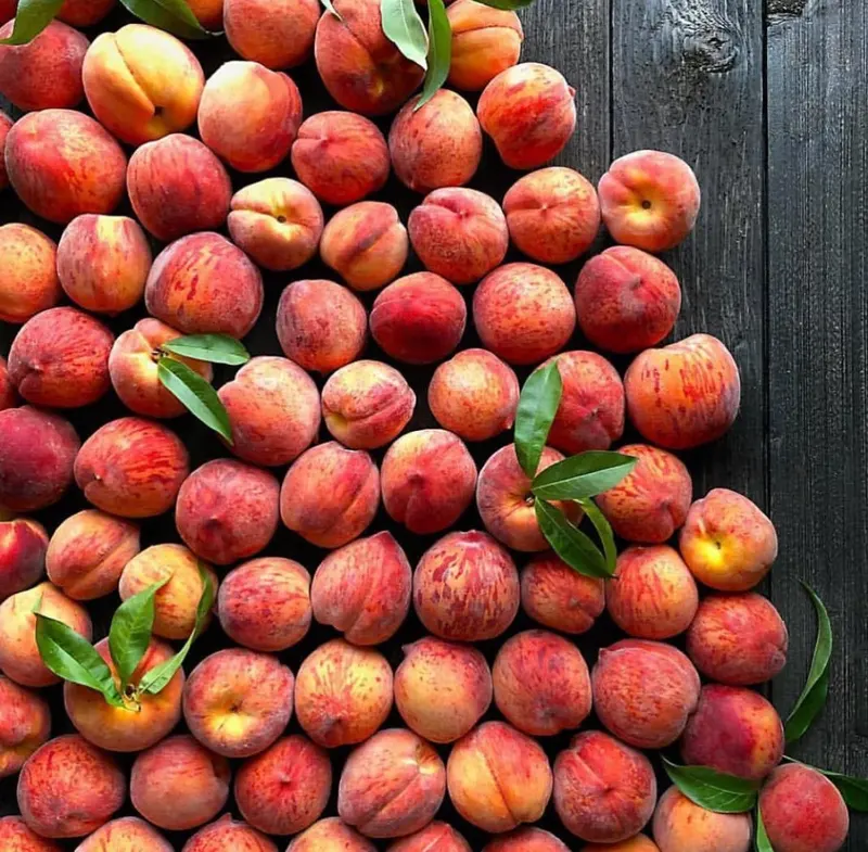 Branstool Orchards