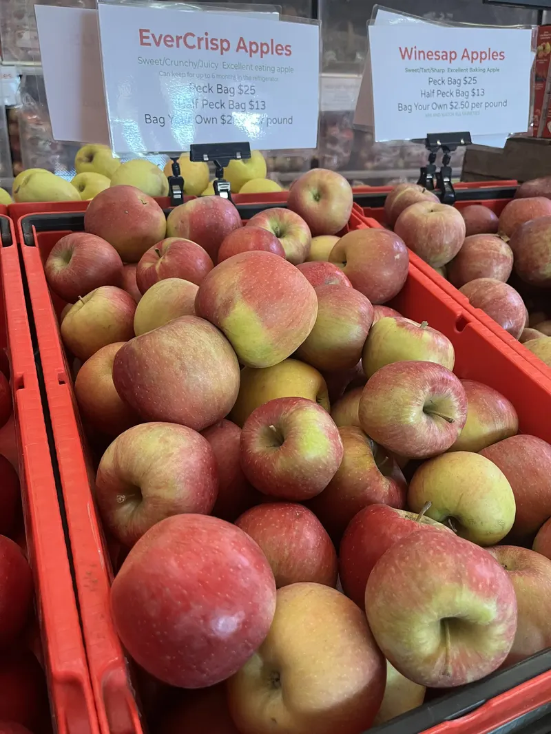 Branstool Orchards photo