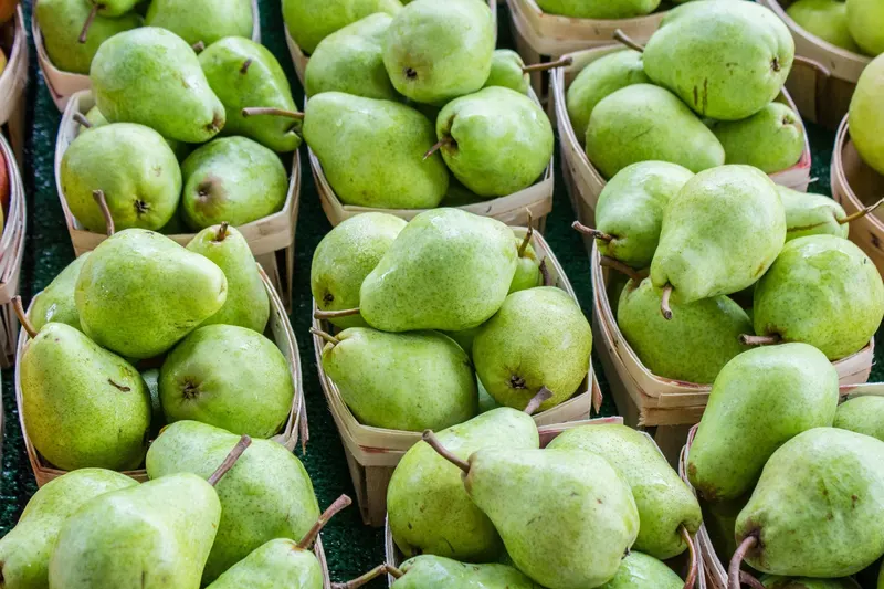 Branstool Orchards photo