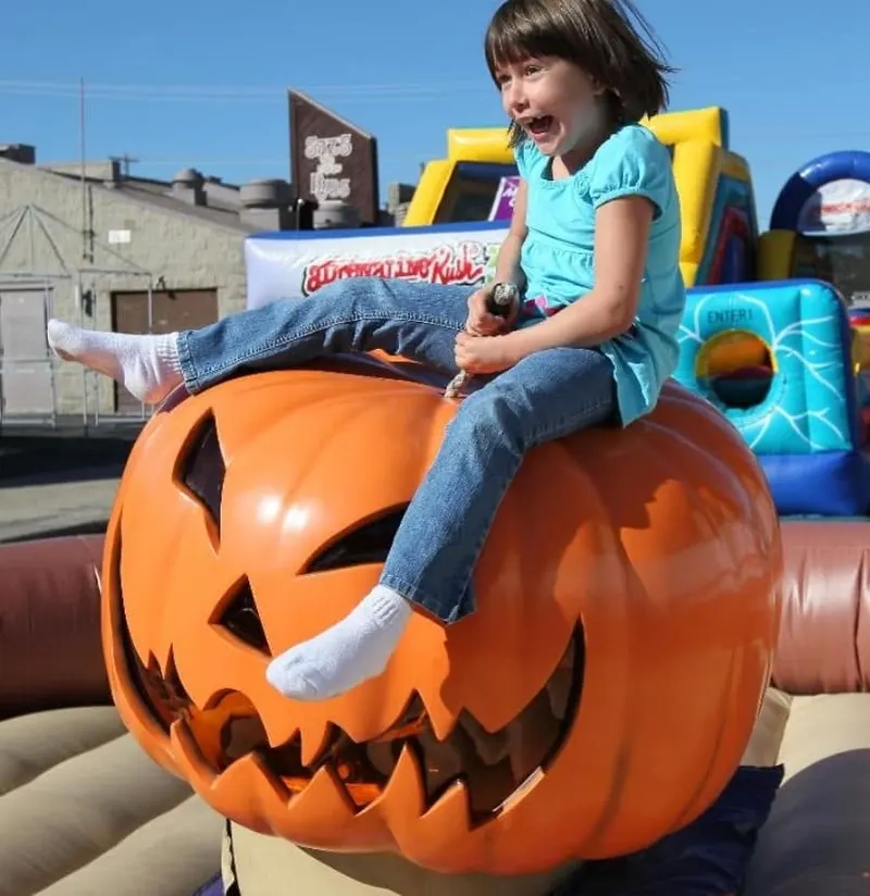Brasee's Corn Maze and Pumpkin Patch photo