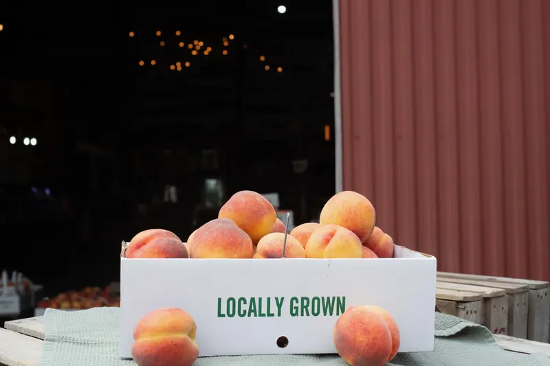 Burnham Orchards photo