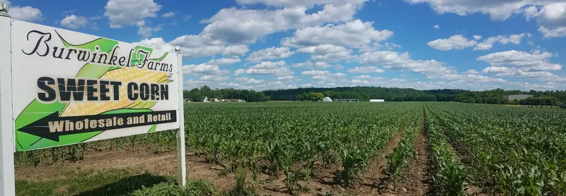 Burwinkel Farms photo