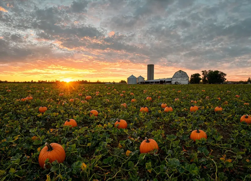Circle S Farms photo