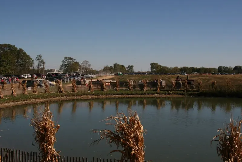 Circle S Farms photo